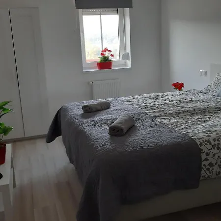 Apartman Szalók