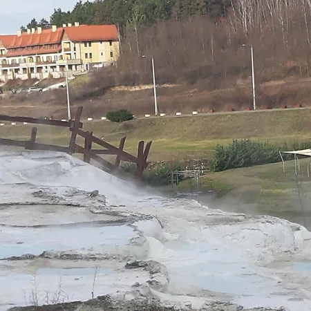 Szalok